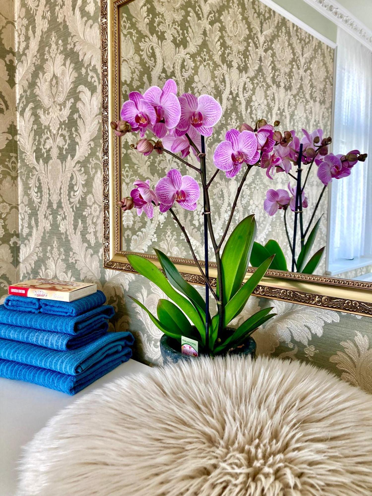 Romanceart Apartments Karlsbad Eksteriør billede